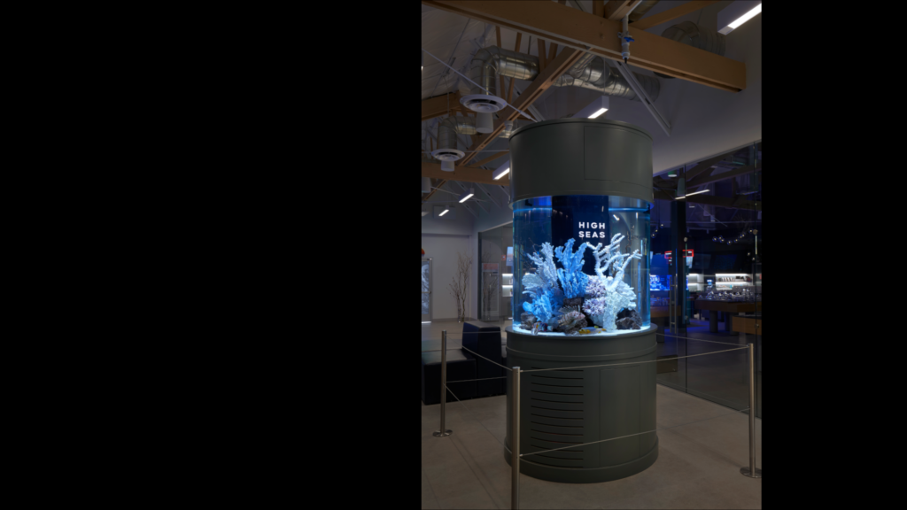 High Seas - Aquarium
