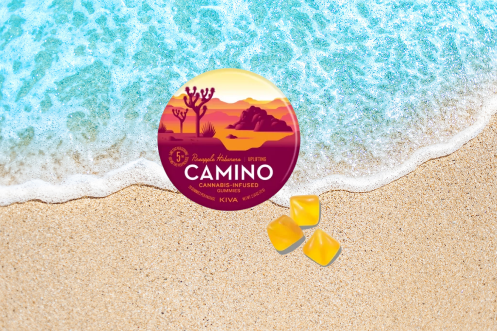 Camino Pineapple Habanero cannabis-infused gummies tin with yellow gummies on a beach background